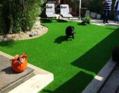 Artificial Grass - Just What The Dog Ordered Artificial Grass - Just What The Dog Ordered