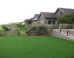 Just Look At This Back Garden in Surrey with Artificial Grass