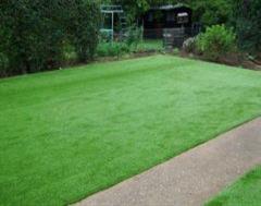 A Simple Kwality Artificial Grass Job