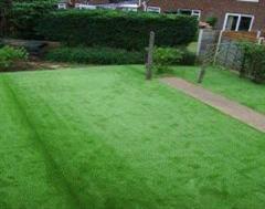 Artificial Grass Simply Works