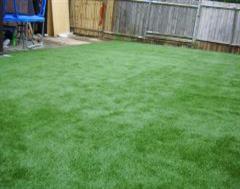 Another view of this Artificial Grass Edge