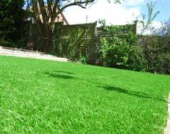 A closer look at the artificial grass