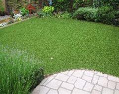 Artificial Grass and a Patio Scene