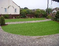 A fantastic grass and edging job in Dorset