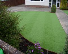 Artificial Grass at it's very best