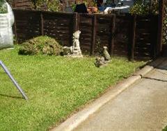 Exposed Aggregate Edging at the side of a garden path